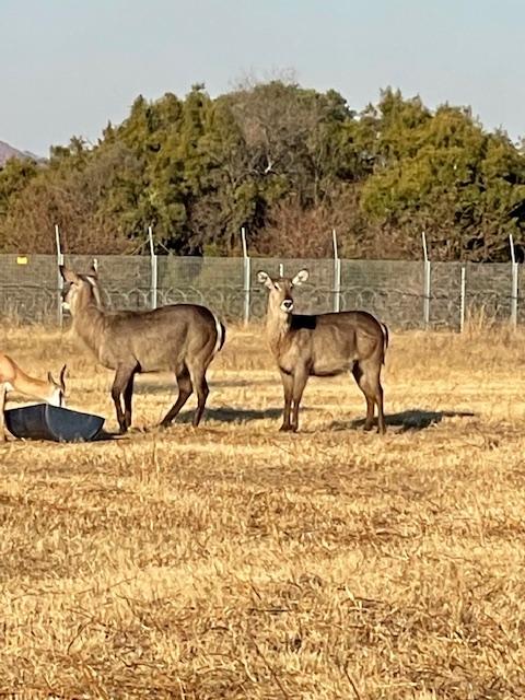 3 Bedroom Property for Sale in Lakeland North West